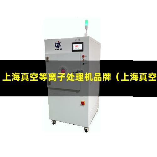 上海真空等离子处理机品牌