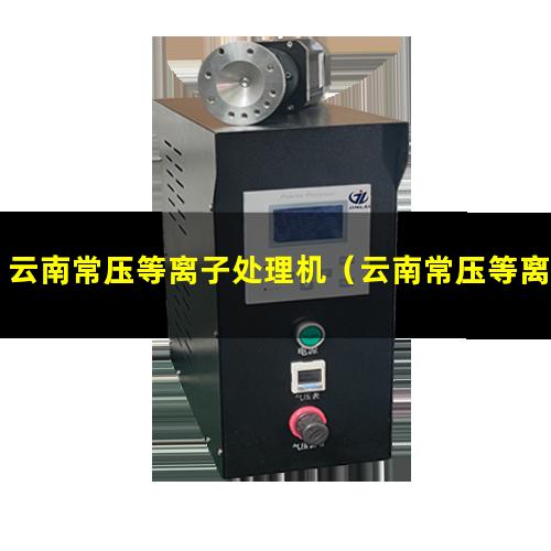 云南常压等离子处理机