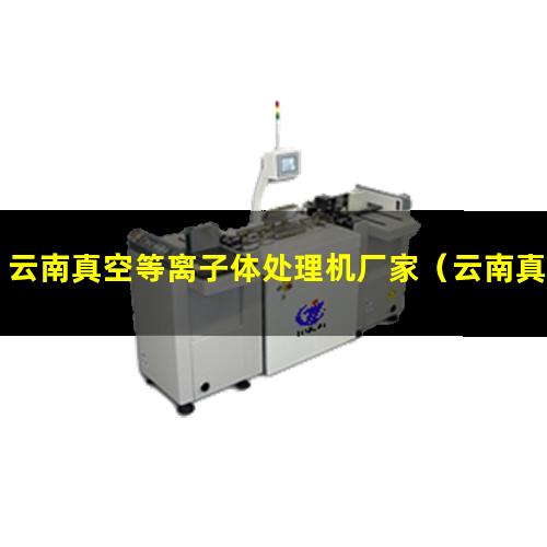 云南真空等离子体处理机厂家