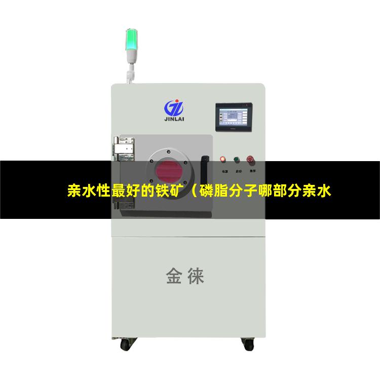 亲水性最好的铁矿（磷脂分子哪部分亲水性最强）