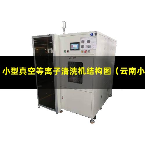小型真空等离子清洗机结构图（云南小型真空等离子表面处理机哪里找）