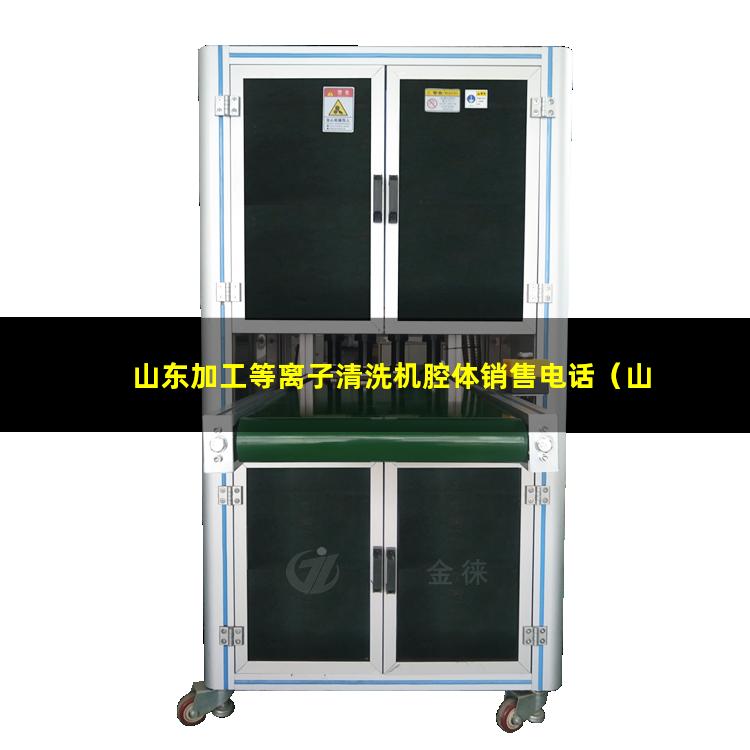 山东加工等离子清洗机腔体销售电话