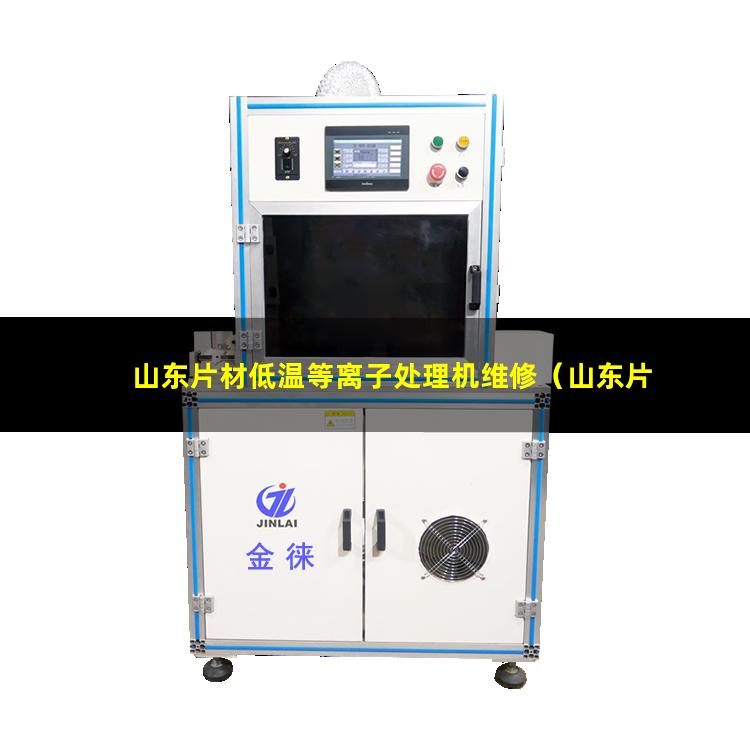 山东片材低温等离子处理机维修