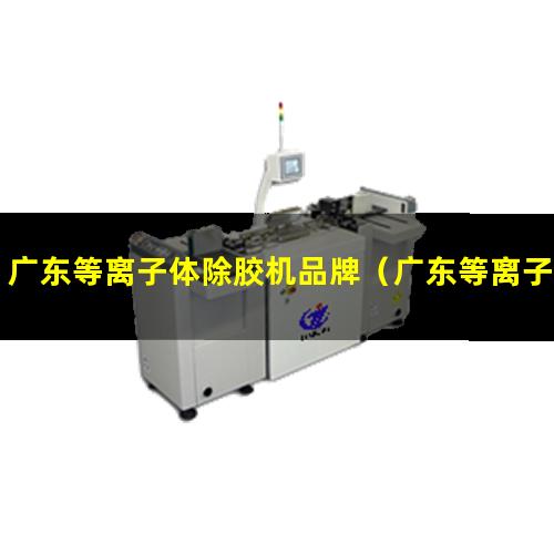 广东等离子体除胶机品牌（广东等离子表面处理机电话）
