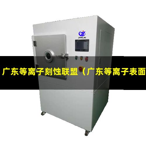 广东等离子刻蚀联盟