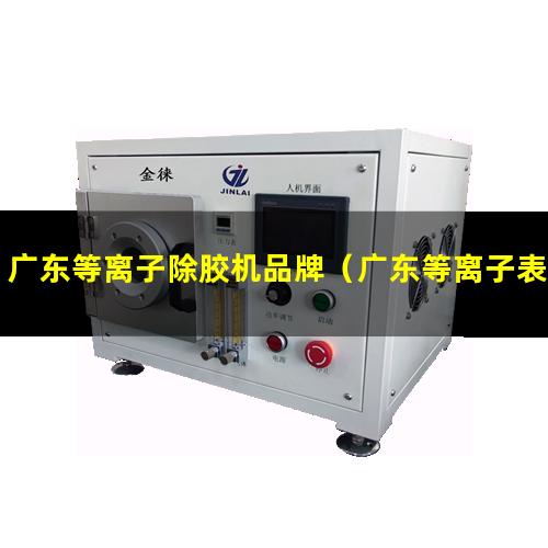广东等离子除胶机品牌（广东等离子表面处理设备原理）