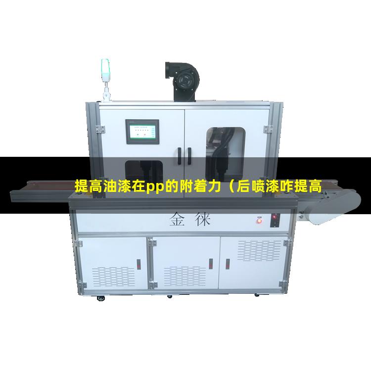 提高油漆在pp的附着力（后喷漆咋提高油漆附着力）